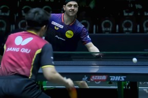 包含蒂姆在雄鹿比赛中比分优势明显，比分优势明显引发热议！的词条